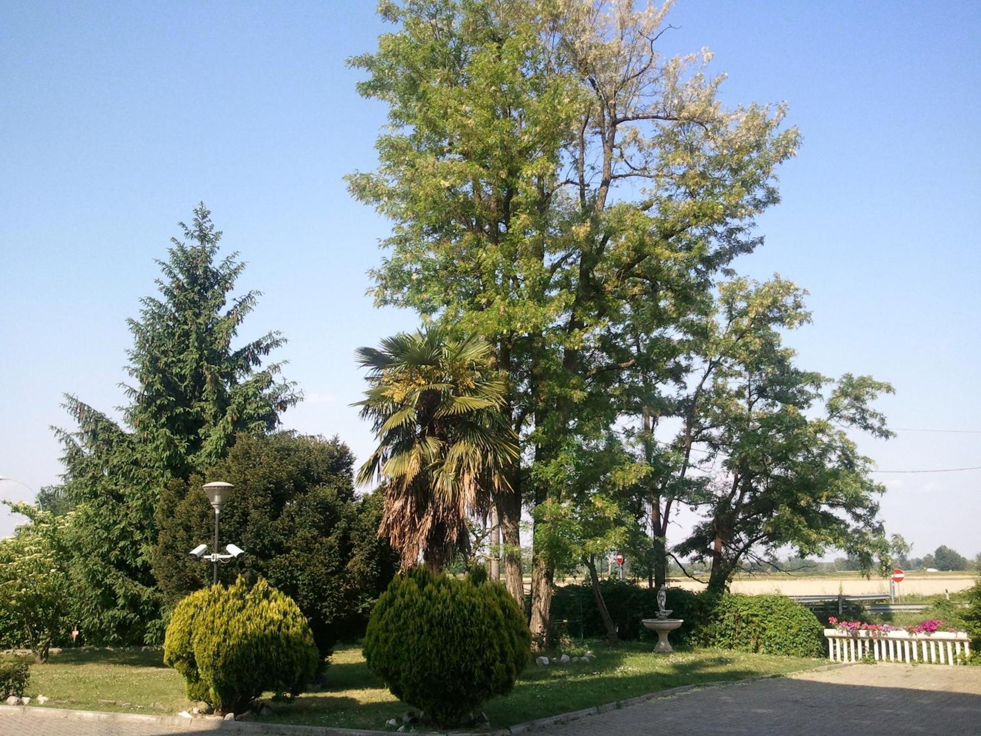 Rosate Hotel Europa Milano מראה חיצוני תמונה